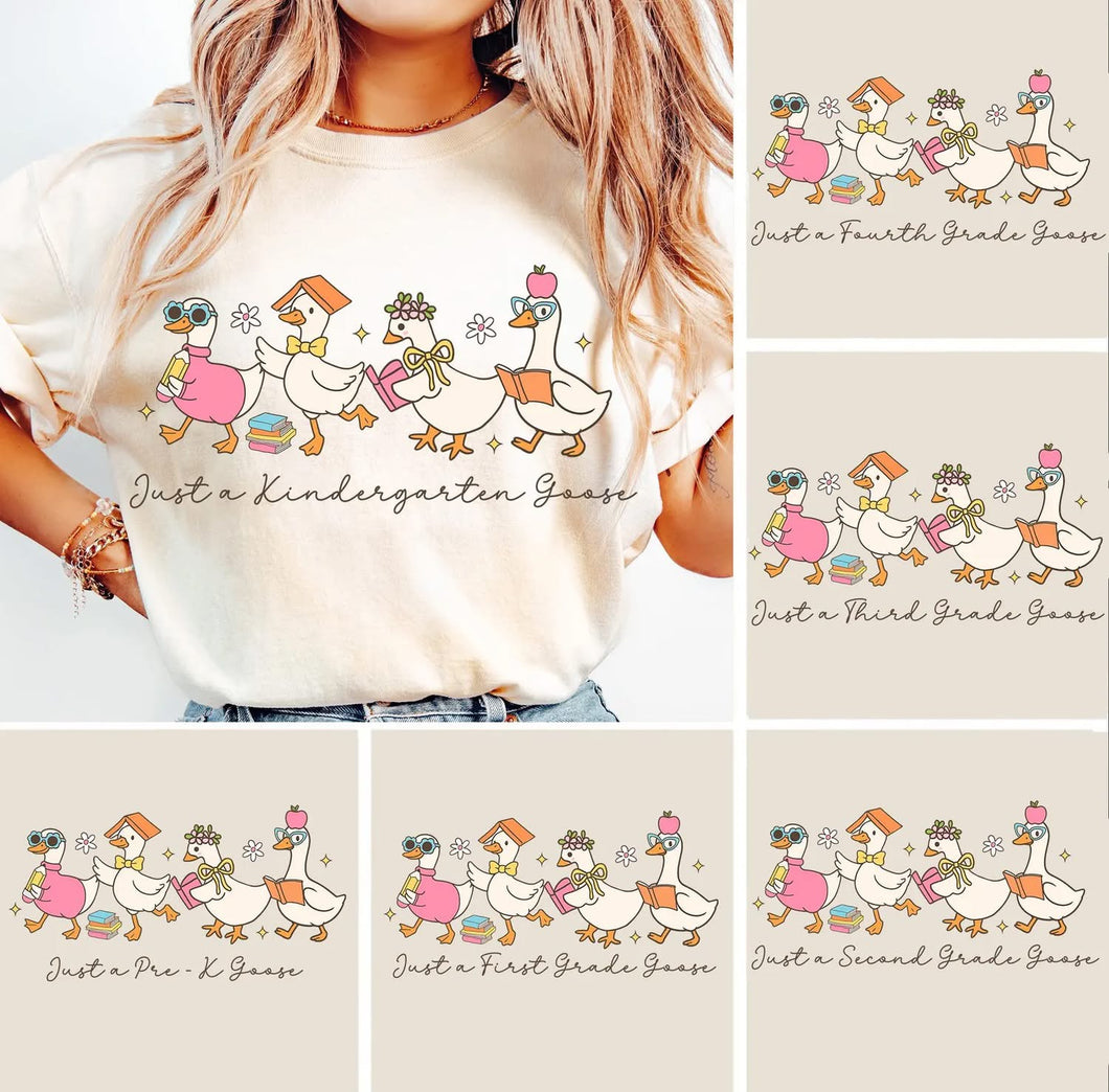 Adult Large that says “just a silly counselor goose” on the pink