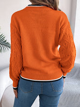 Load image into Gallery viewer, Contrast Trim Round Neck Long Sleeve Sweater
